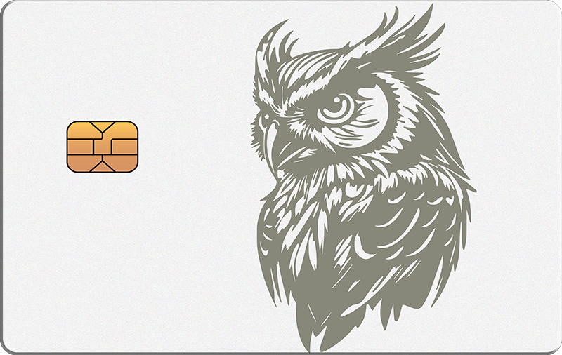 Owl 3